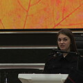 Curabitur interdum euismod faucibus