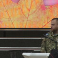 Curabitur interdum euismod faucibus