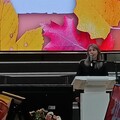 Curabitur interdum euismod faucibus